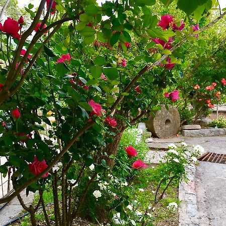 Apartmani Perić Bar Bagian luar foto