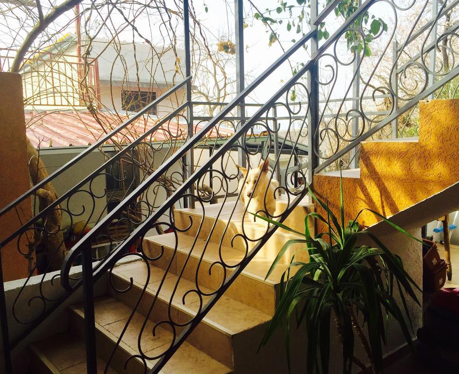 Apartmani Perić Bar Bagian luar foto