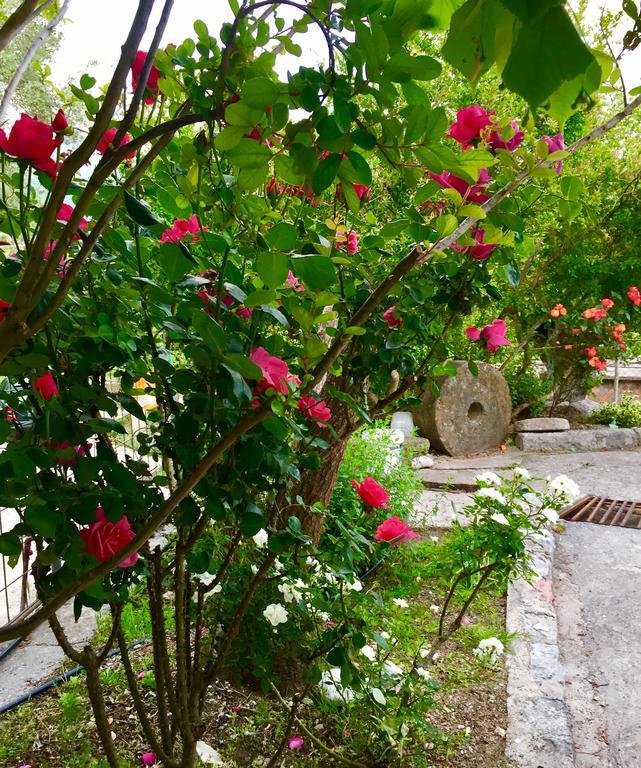 Apartmani Perić Bar Bagian luar foto